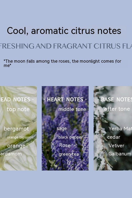 Aromatic Citrus Aromatic Perfume Long-lasting Perfume